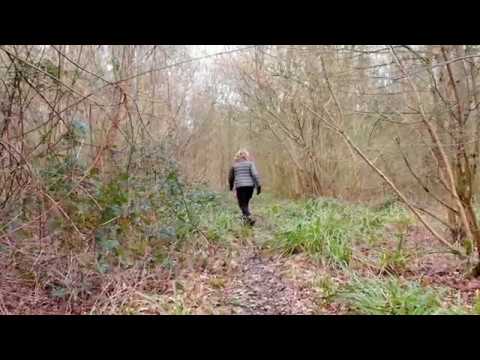 Into The Woods